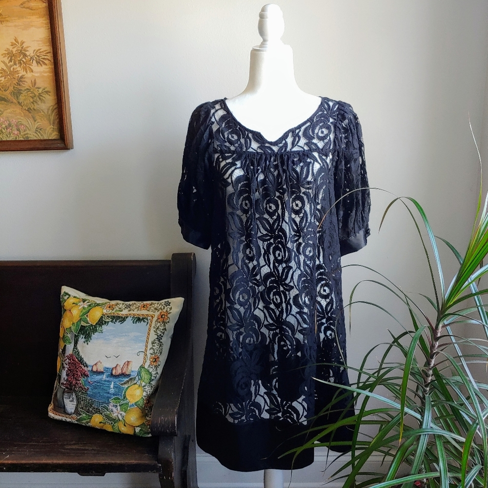 Adrianna Papell black see through baby doll dress